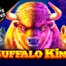Buffalo King no Superbet